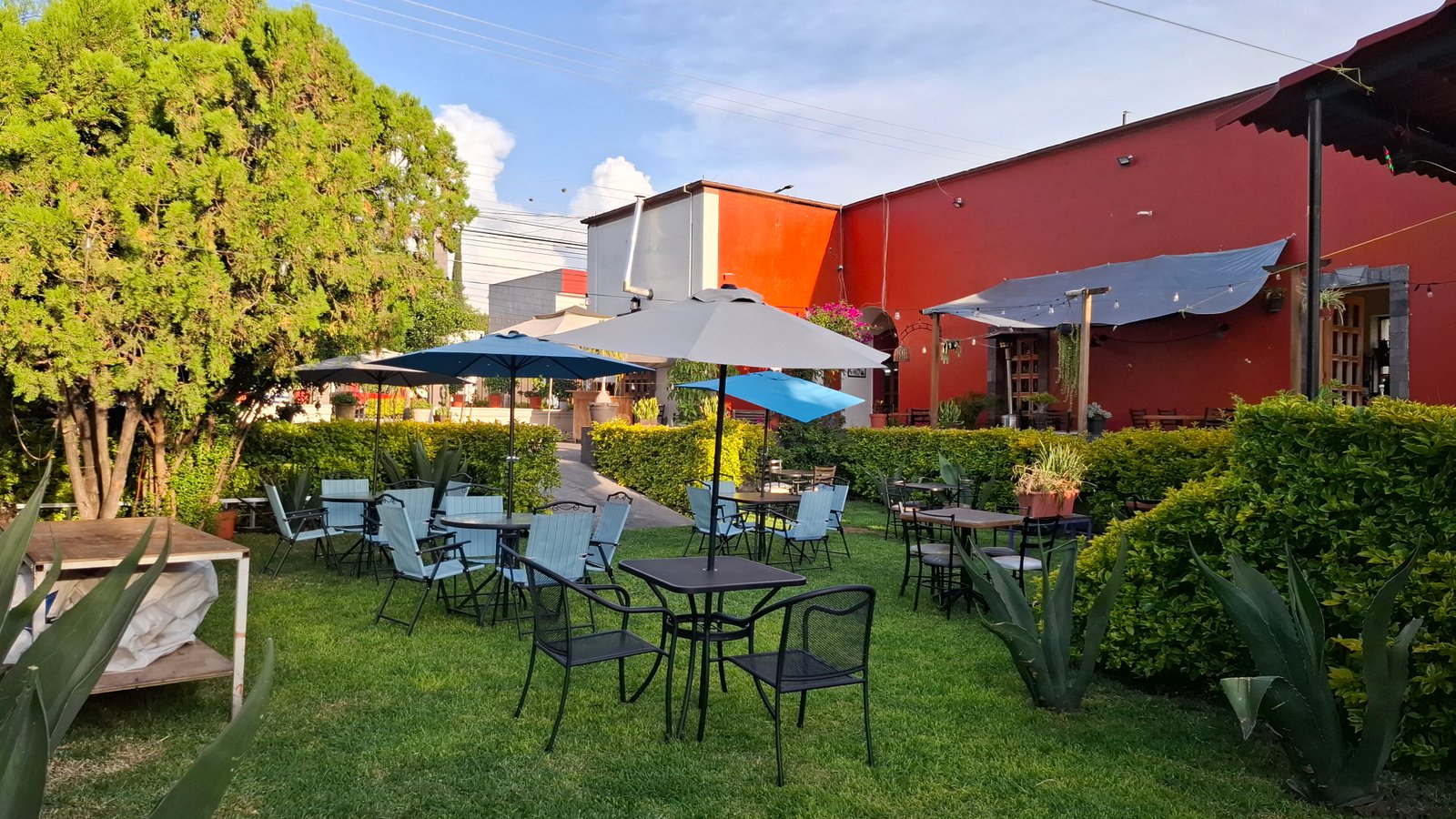 Interior de 14 Gatos Café